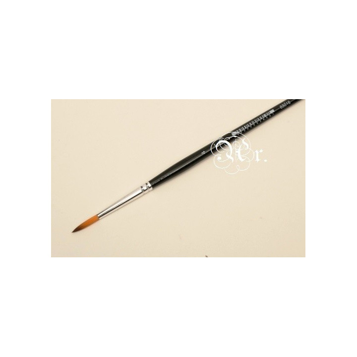 copy of 